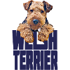 Welsh Terrier