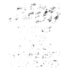 Judo