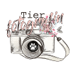 Wildlife Photographer1