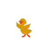 Funny ducks