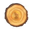 Wooden tree wood tree