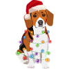 Beagle dog Christmas fairy lights