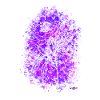Fleur pourpre