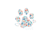 Amour animal, chien