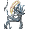hot dog xen