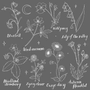 Wildflower
