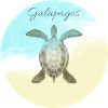 galapagos øyene strandferie solskilpadde
