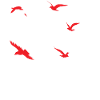 Free Bird Illustration
