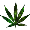 Simple cannabis