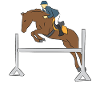 Sports équestres Cheval