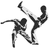 capoeira 3