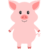 pig
