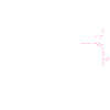 Poledancing Pole Dance Evolution