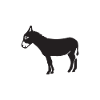 DONKEY