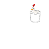 Chicken Chicken Gift