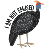Emu bird funny saying