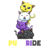 Nonbinary cats - transgender gift