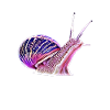 slug