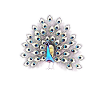 peacock