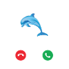 Delfin