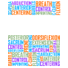 Pilates Words