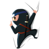 Ninja