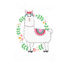 Llama alpaca
