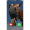 Pferd Pferdekopf Shetlandpony Anrufen