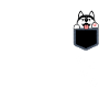 Siberian Husky Dog Pocket