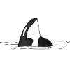 Orca