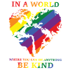 Be Kind Gay Pride flag