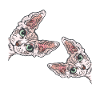 Sphynx Cat