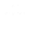 Salsa King