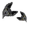 Black sphynx cat