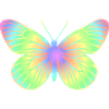 butterfly 2
