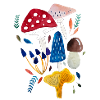 Mushroom design toadstool boletus chanterelle