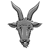 Fighting goat