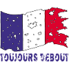 Drapeau français déchiré mais toujours debout !