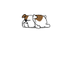 Bouledogue anglais