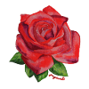 Rose red