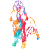 English Springer Spaniel