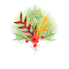 Tropical flowers in Kenya / Africa