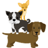 Stack Up Dogs