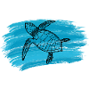 Meeresschildkröte Sea Turtle