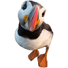 Atlantic puffin