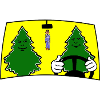 CAR FRESHENER