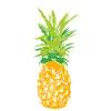 Ananas Scribble