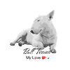 Bull terrier illustration with inscription