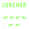 Stubborn Lurcher Tricks