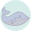 Cute Whale